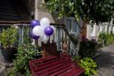 Ballonnenbloem 9