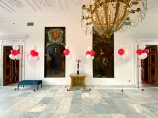 Helium tros - 5 ballonnen